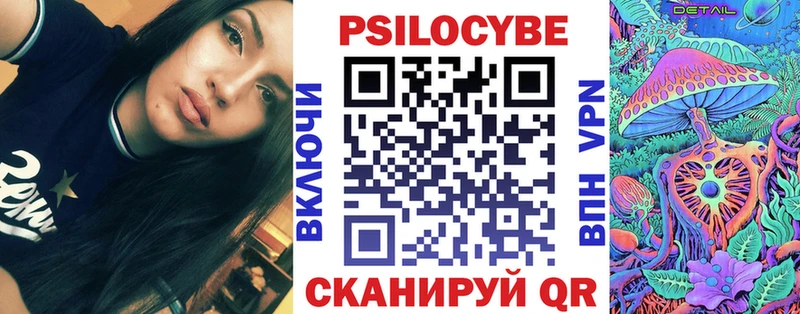 Галлюциногенные грибы Psilocybe  Купить где  Бежецк 